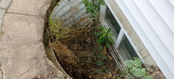 basement egress window with cement wall