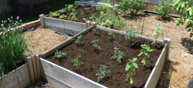 raised beds with plant supports