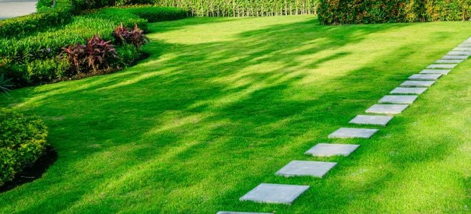 healthy lawn in shade with stone walkway