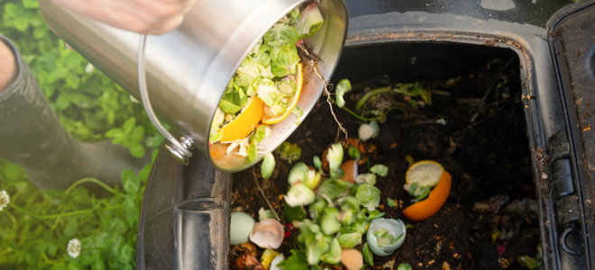 food waste in compost