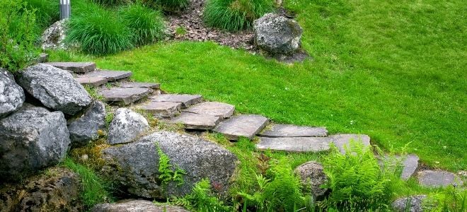 sloping yard with stone steps