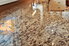 A clean granite kitchen countertop.
