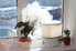 A humidifier sits on a window sill indoors beside a plant.