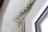Mold grows in the corner of a windowsill due to moisture accumulation.