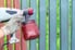hand painting fence with a spray gun