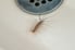 centipede crawling in sink
