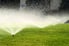 sprinklers watering a green lawn