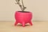 pink 3D printed planter
