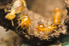 A close up of termites on wood