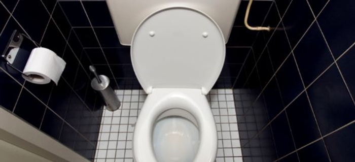 Pros and Cons of Pressure-Assisted Toilets | DoItYourself.com Pros and Cons of Pressure-Assisted Toilets | DoItYourself.com