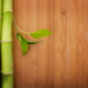 bamboo stalks on wood surface