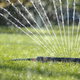 An oscillating sprinkler on a green lawn.