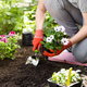Hydroponic Gardening: Growing Vegetables