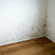 mildew on a white wall next to wood flooring