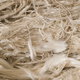 asbestos fibers