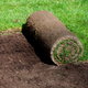 Quick way to get a new lawn. Roll out new turf.