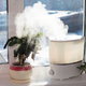A humidifier sits on a window sill indoors beside a plant.