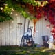 A white shed with fall leaves and tools in front of it.