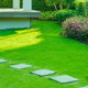 lawn with stepping stones and bushes