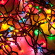 A tangle of multi-colored Christmas lights.