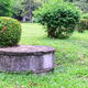 septic tank behind a bush in a yard