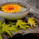 Water, stone, flowers and leaves representing yin and yang in a zen garden.