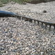 Using a rake to level a gravel driveway.