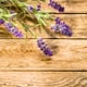 fresh lavender plant on wooden table