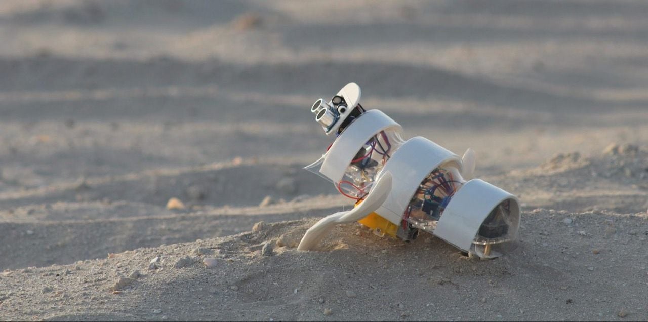 The tiny A'seedbot desert robot drone combs the desert in search of potential planting spots.