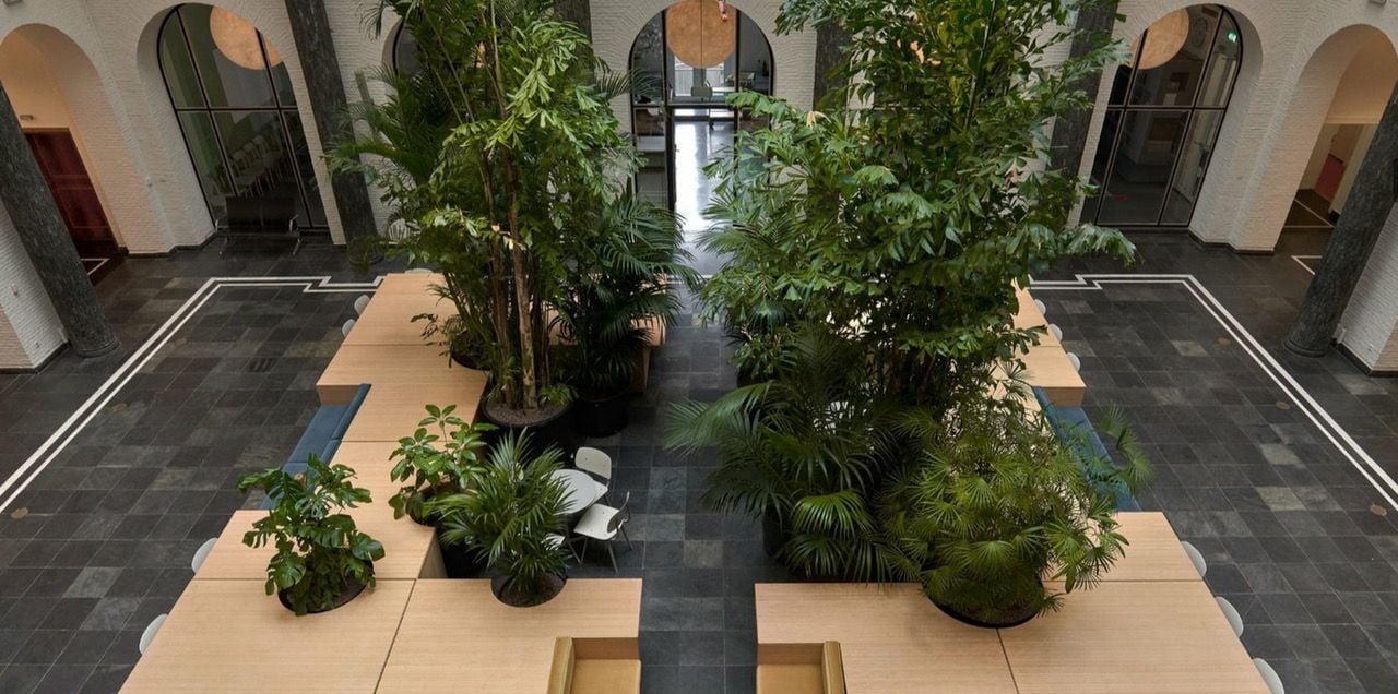 Overhead view of the greenery and mobile work islands inside the University of Amsterdam's Maagdenhuis Hall.