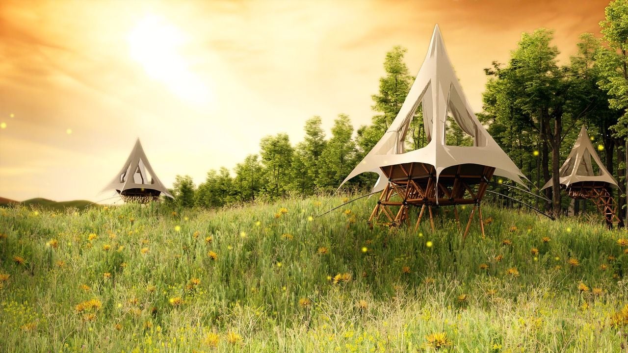 O2 Treewalkers' customizable glamping tents sit peacefully in a field area.