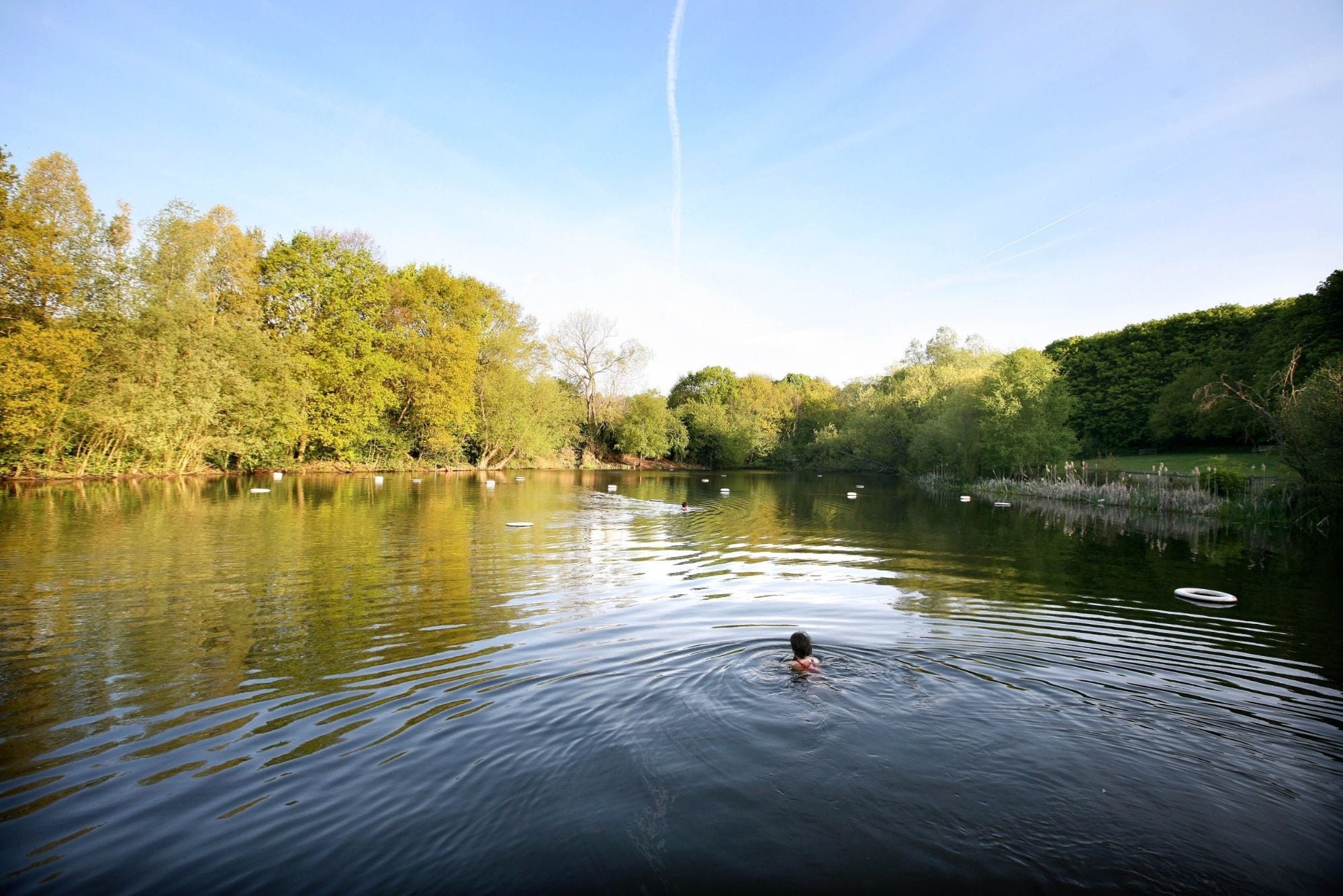 The Kenwood Ladies' Pond on London's Hampstead Heath. 