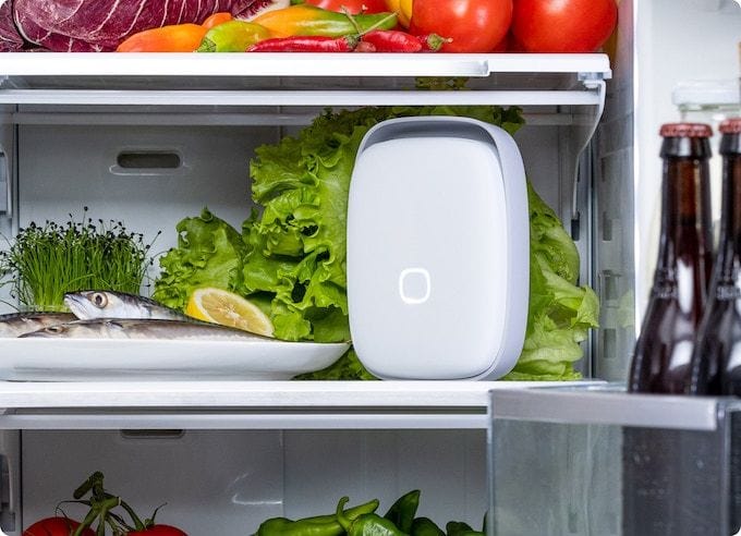 Shelfy Smart Purifier placed in a refrigerator to keep the food inside fresher for longer.