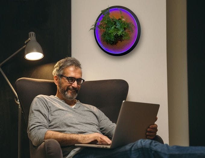 Man scrolls through his laptop while his Mars Green Planter glows (and grows) on the wall behind him.