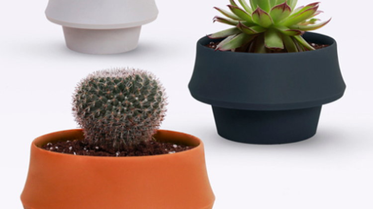 Flexible Pot Expands to Accommodate Growing Houseplants