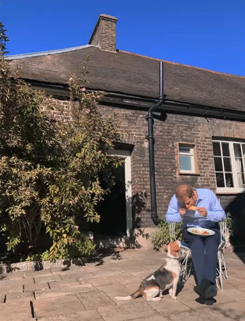 Prince Harry enjoys some food with his beagle outside his Nottingham Cottage home.