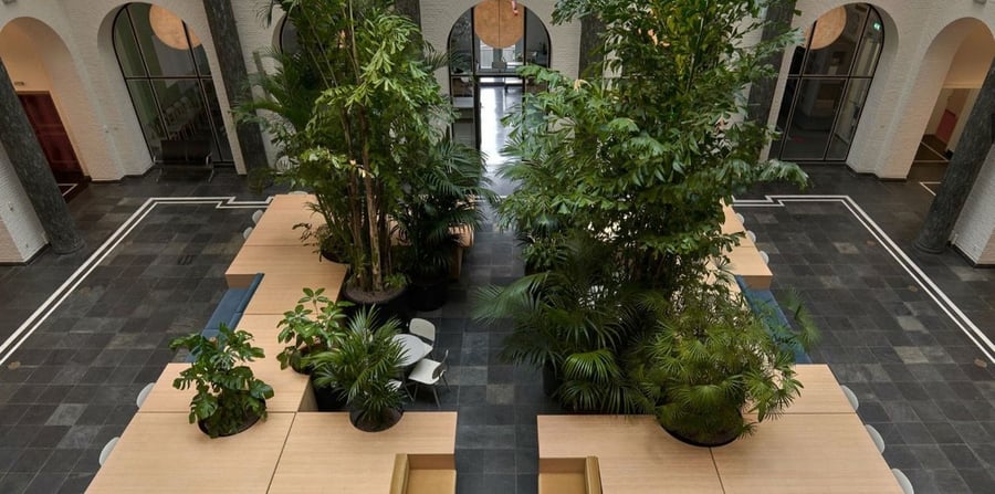 Overhead view of the greenery and mobile work islands inside the University of Amsterdam's Maagdenhuis Hall.