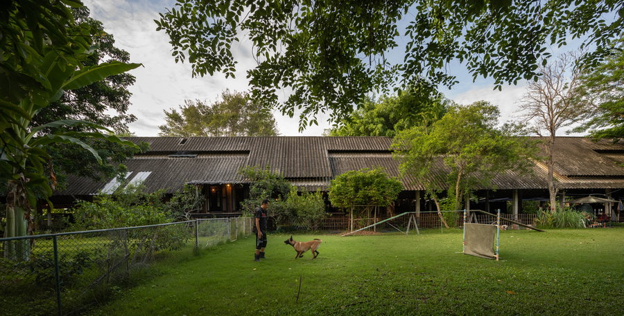 Man plays with a dog in the Kha-Nam Noi house's lush, expansive backyard area.