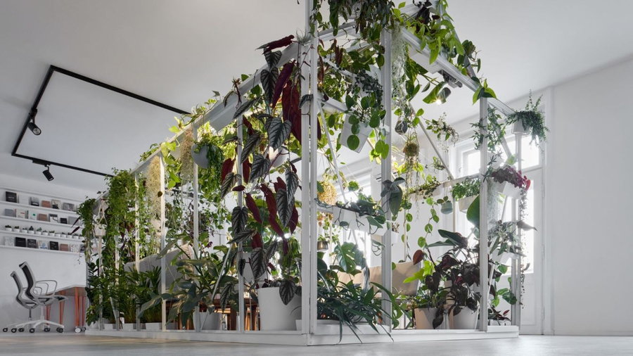 Lush indoor greenhouse at the heart of Poetizer's Tomas Cisar-designed Prague offices.