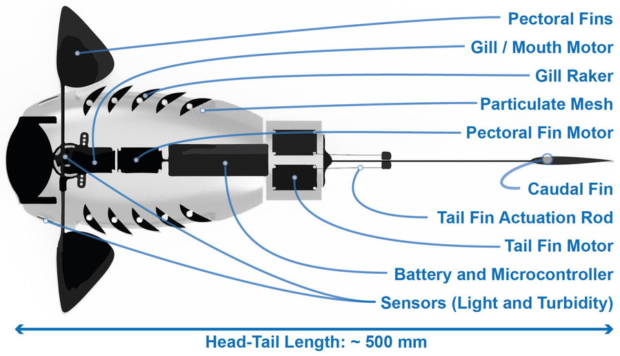 Breakdown of all the components that go into Mackintosh's Gillbert robotic fish design.