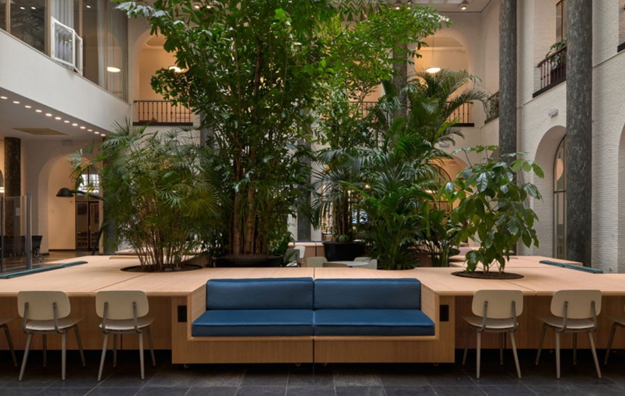 Mobile bamboo work islands at the University of Amsterdam's Maagdenhuis building provide portable seating, tables, and co-working spaces to students, staff, and visitors.