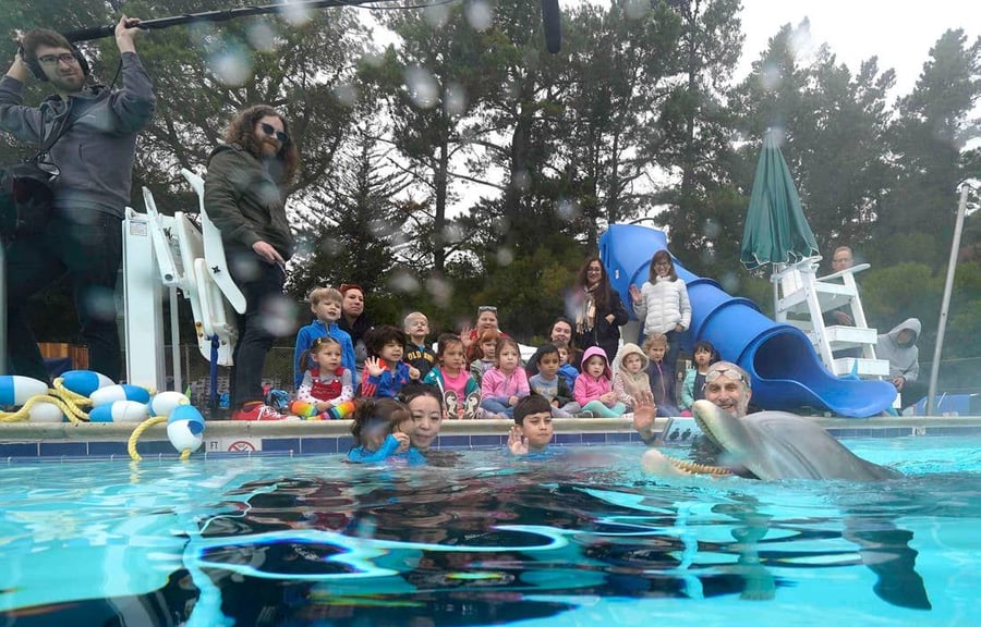Kids and parents play in the water with Edge Innovations' robotic dolphin prototype. 
