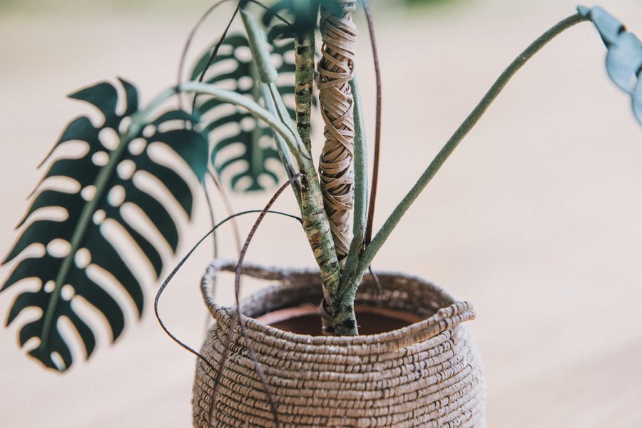 A miniature Monstera replica by artist Raya Sader Bujana.