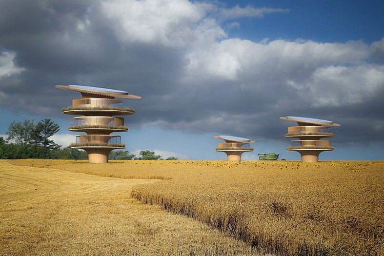 An entire field of structures resembling Koichi Takada's Bauhaus-inspired Sunflower House.