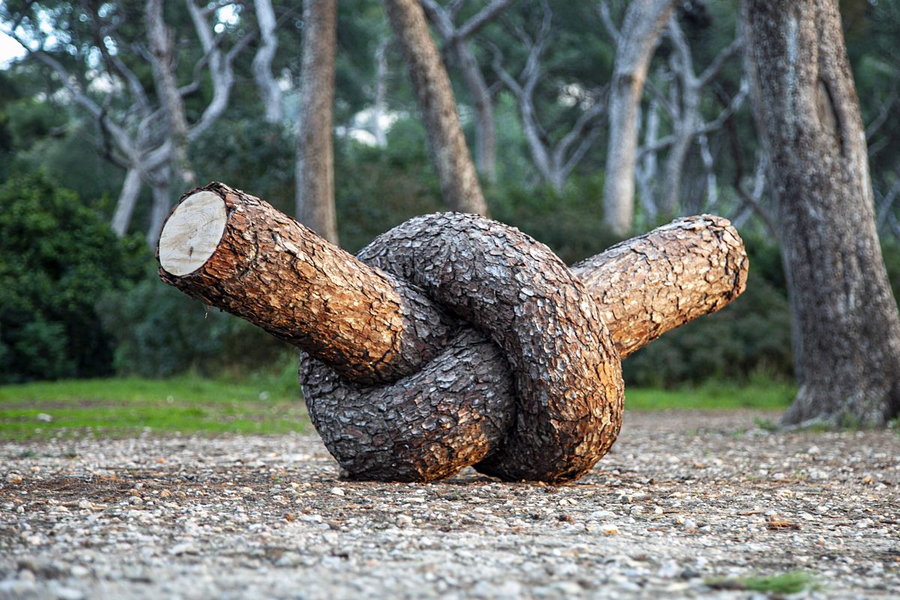Simple know tree trunk sculpture by Christophe Guinet (aka Monsieur Plant).