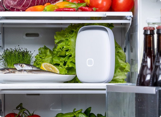 Shelfy Smart Purifier placed in a refrigerator to keep the food inside fresher for longer.