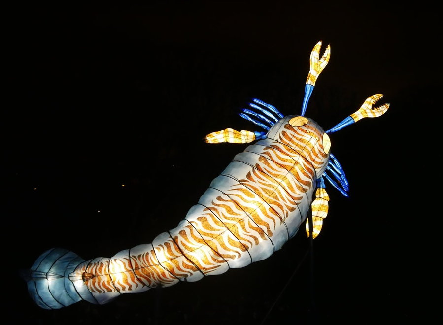 Vibrant sculptures of prehistoric sea invertebrates featured in the Jardin des Plantes' 