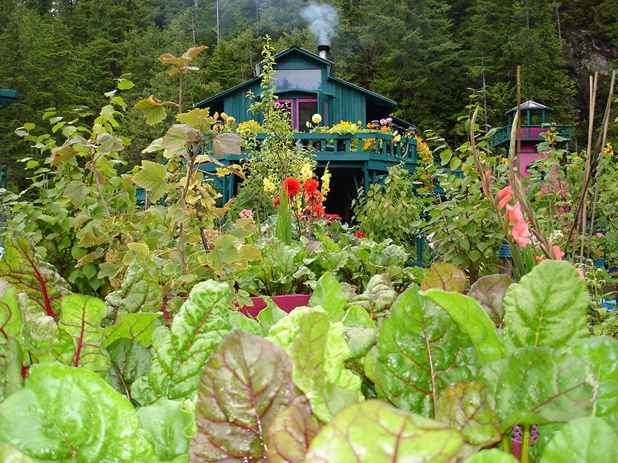 The verdant farm at Freedom Cove