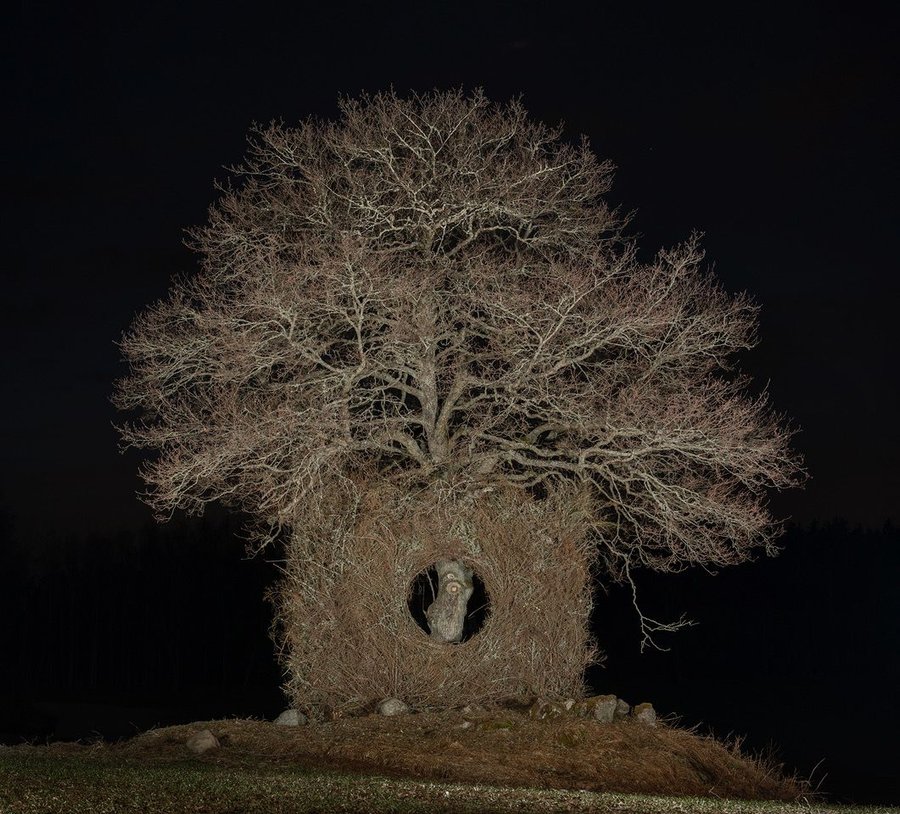 Nighttime view of the 