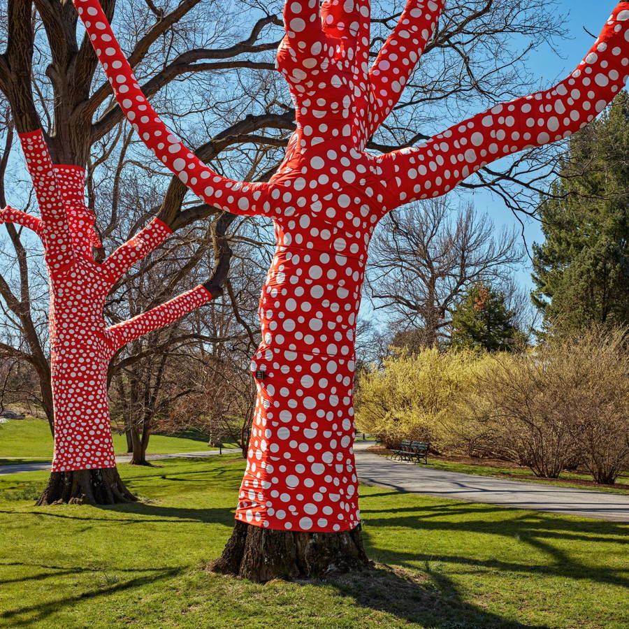 Giant polka-dot covered pumpkins and trees take over the New York Botanical Garden as part of artist Yayoi Kasuma's “Kasuma: Cosmic Nature” exhibition.